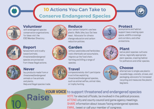 Endangered species protections